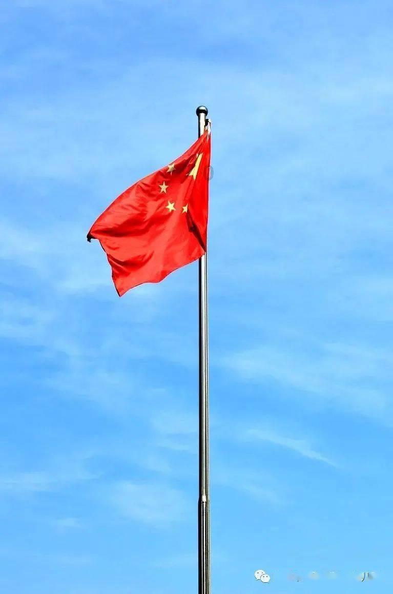 逃离神秘老林